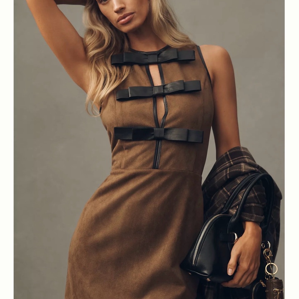 Anthropologie Brown Mini Dress with Black Accents